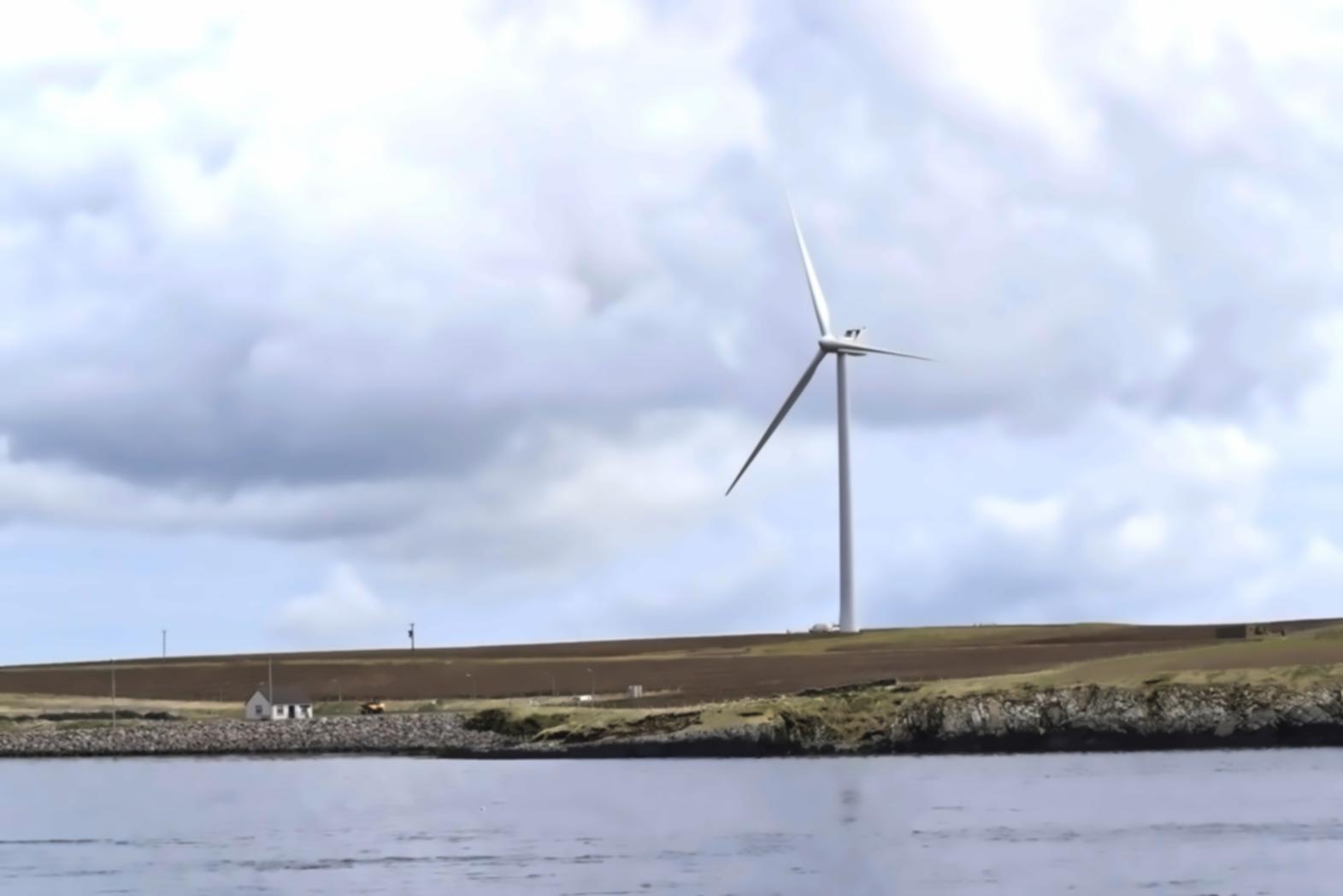 Animal ecology field observation