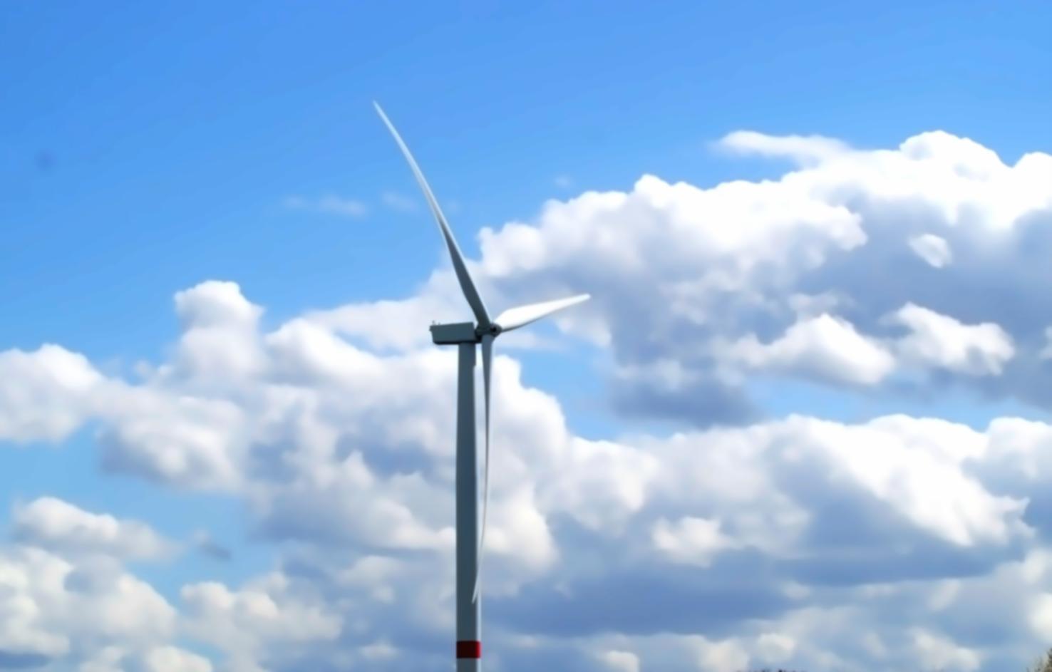 Field research documentation of animal behavior patterns