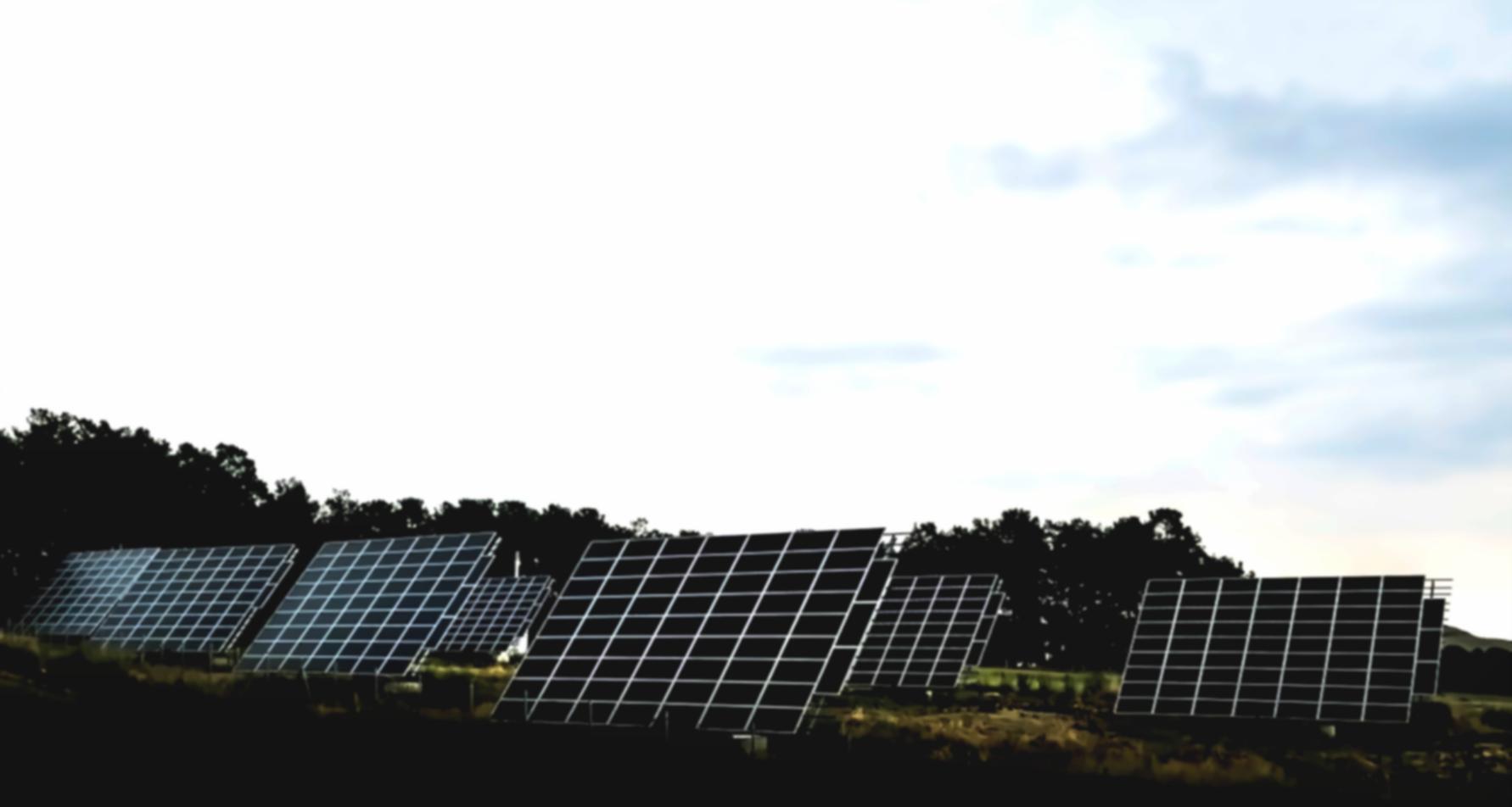 Detailed ecosystem documentation showing biodiversity assessment