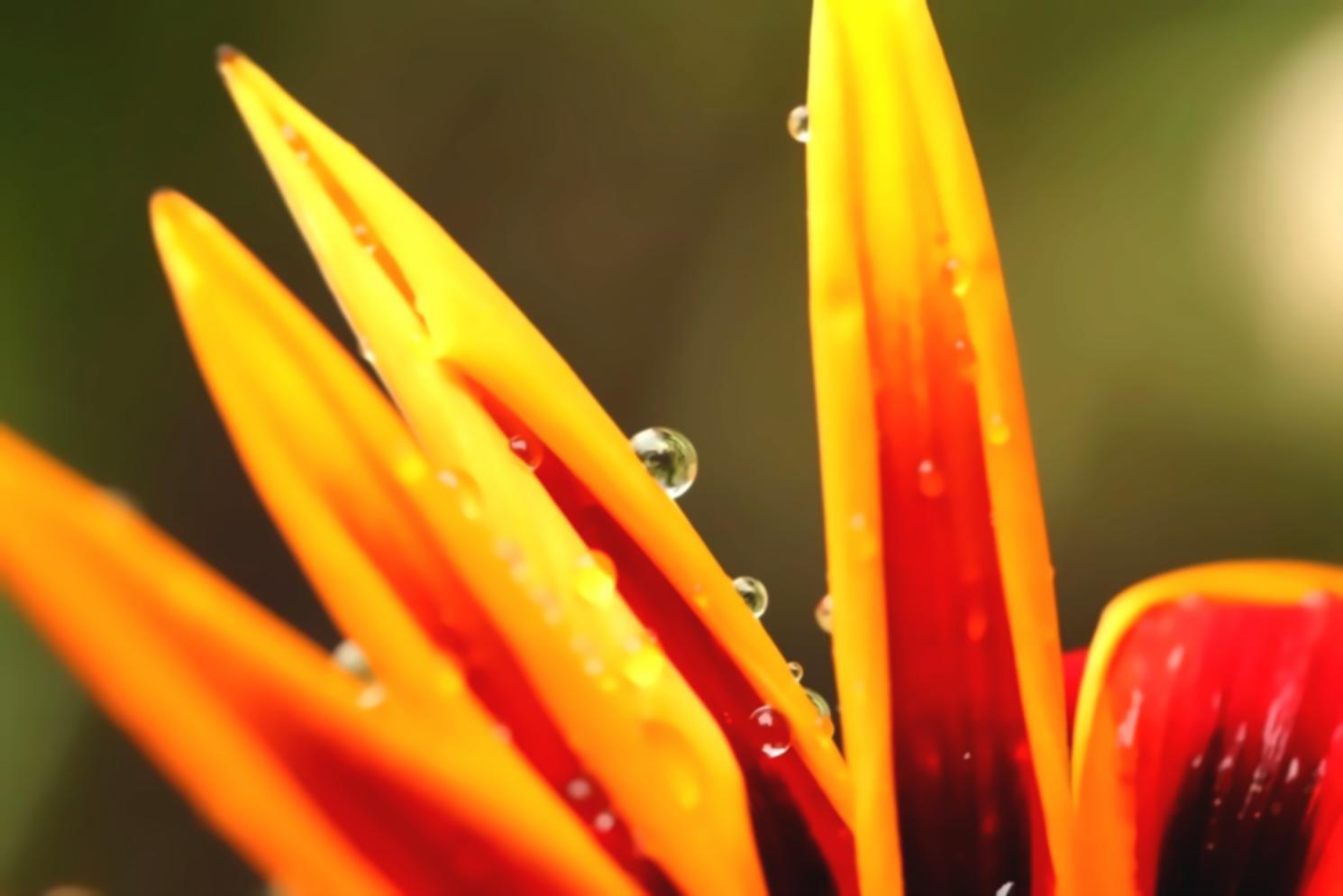 Professional conducting ecological field survey with equipment