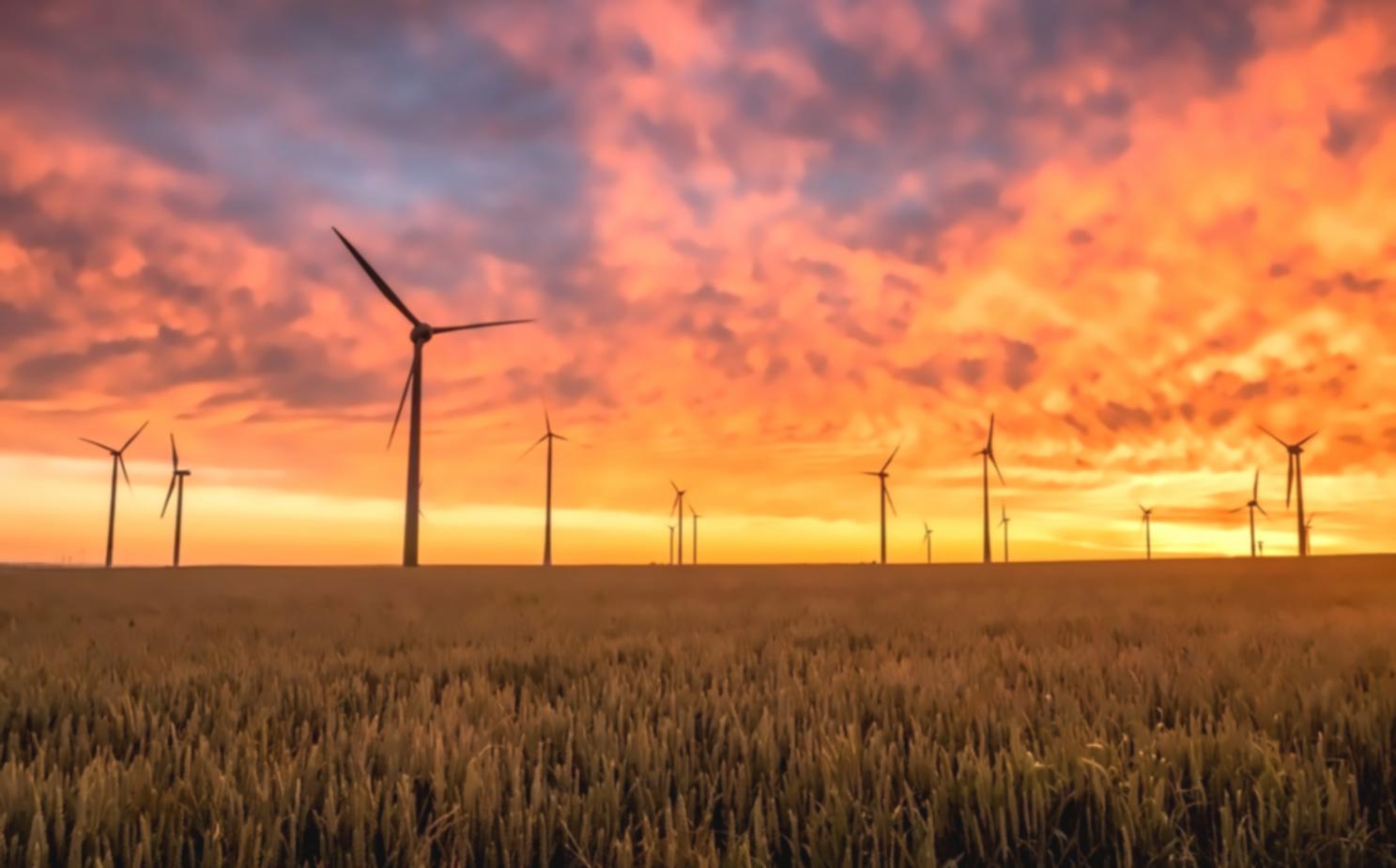 Ecosystem diagram showing community interactions and relationships